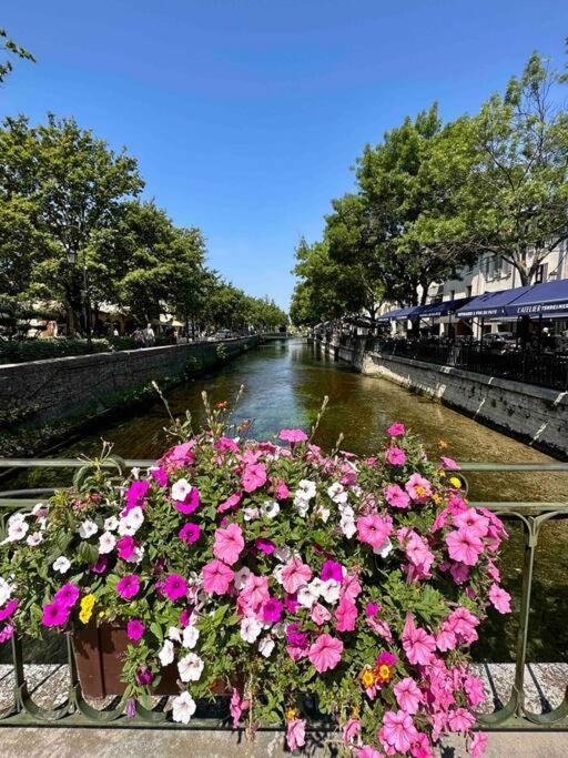 Lou Paseo : Appartement Brocante Centre Historique 索格岛 外观 照片