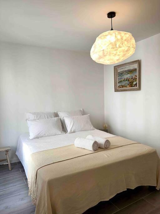 Lou Paseo : Appartement Brocante Centre Historique 索格岛 外观 照片